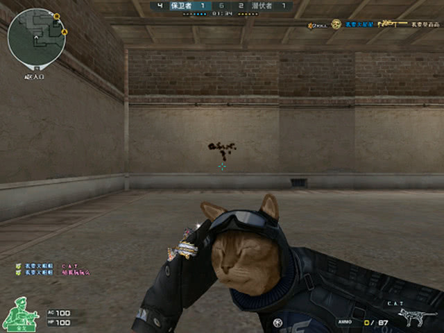 退出在回归 MIBR 的IGL角色时说：“我觉得当我停止担任IGL时，我很想念它，现在我回来了。”